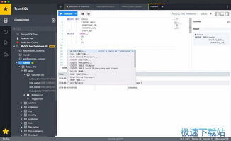 SQL数据库查询工具下载与计算机软件咨询指南