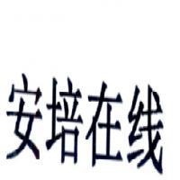 合肥朗霁软件技术 专业计算机软件咨询服务解析